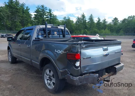 2009 Ford F-150 Fx4/King Ranch/Lariat/Platinum/Xl/Xlt from USA, damaged, VIN 1FTPW14V99FA05331